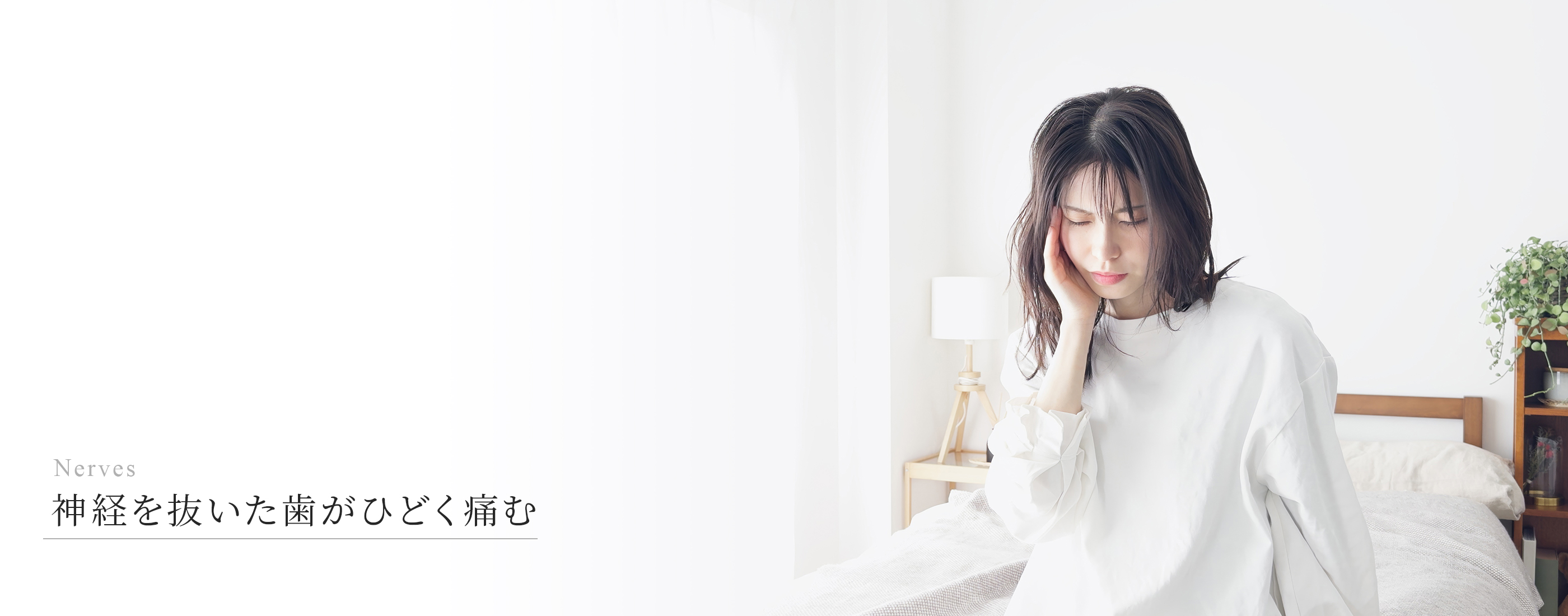 キービジュアル